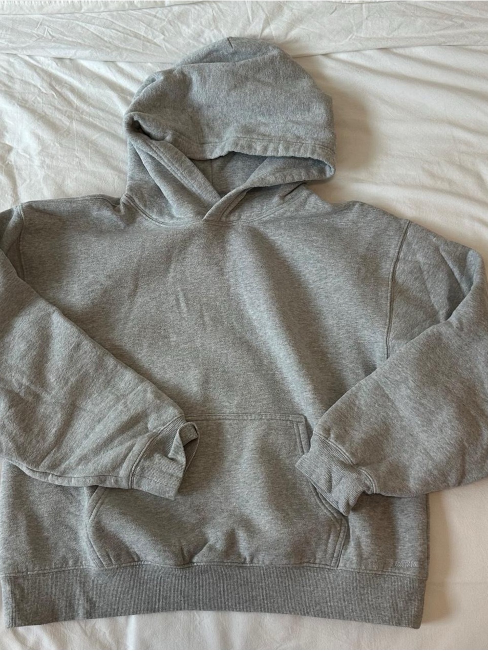 Gray Aritzia Sweatshirt